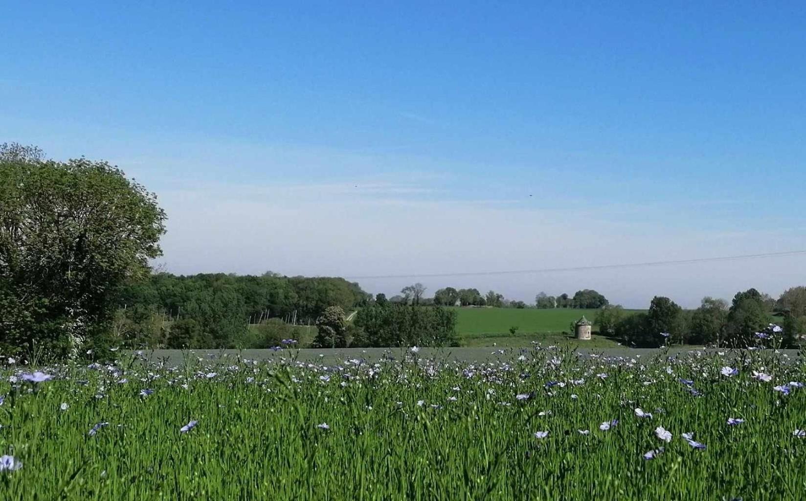 La Vieille Ferme Villa Donnay Екстериор снимка