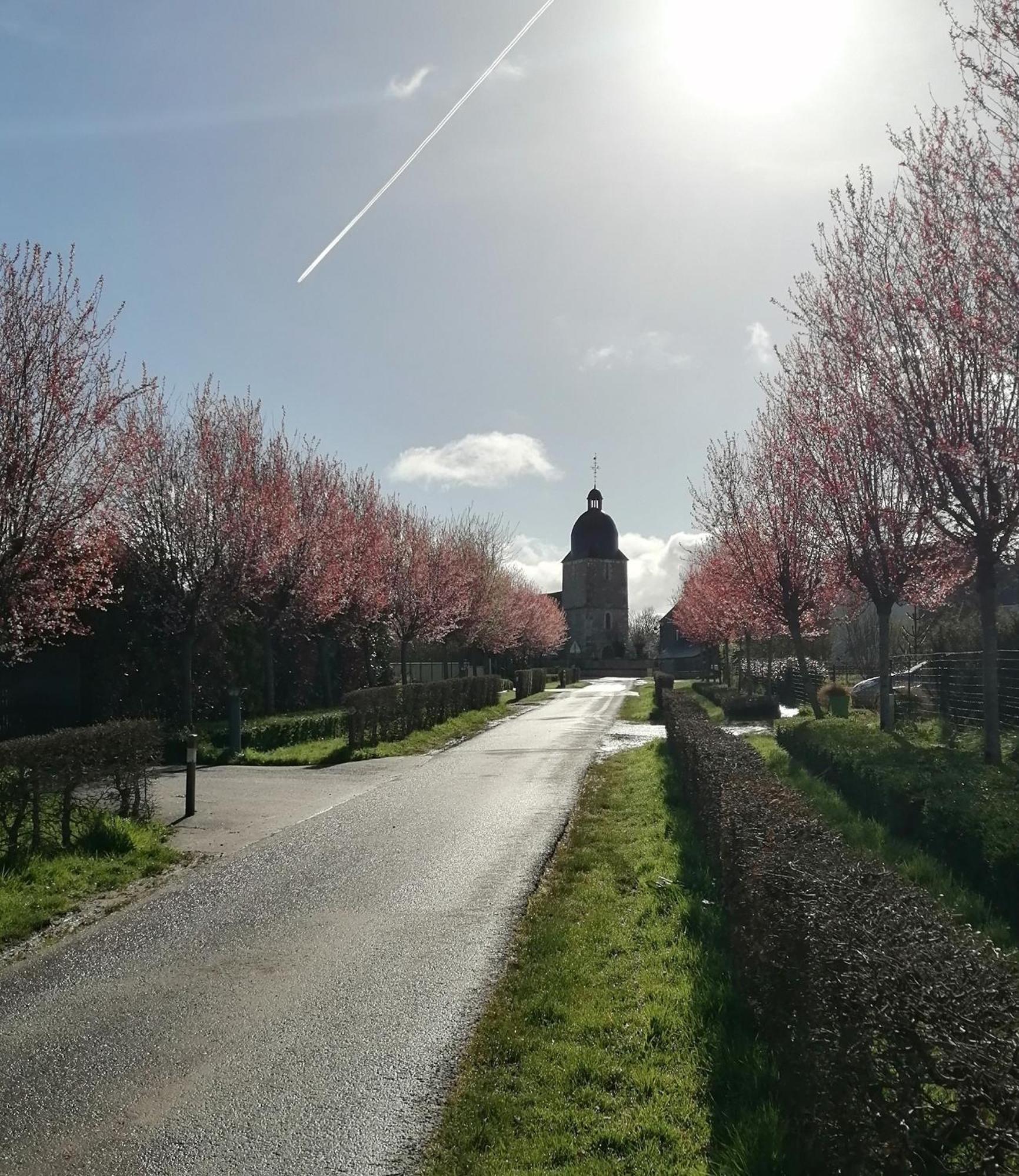 La Vieille Ferme Villa Donnay Екстериор снимка